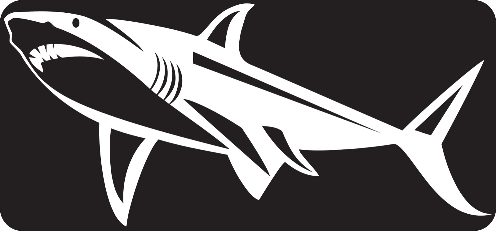 White Shark Decal Multicolor Made In USA