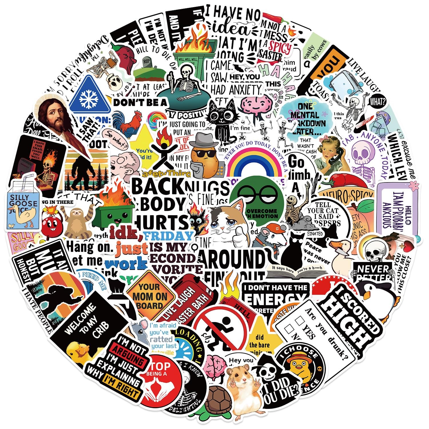 100pcs Funny Prank Meme Stickers Bulk, Snarky