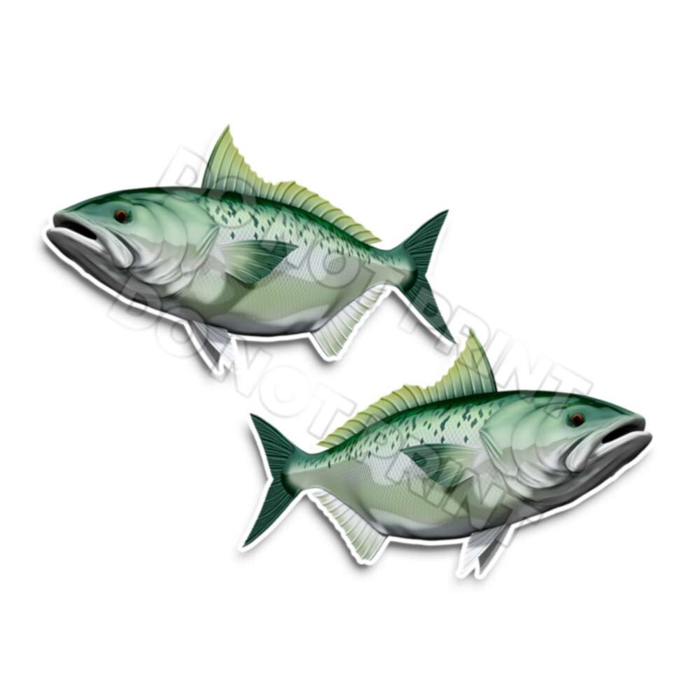 Kahawai Australian Salmon Fishing Decals Fish Stickers Arripis Trutta AFP-0180