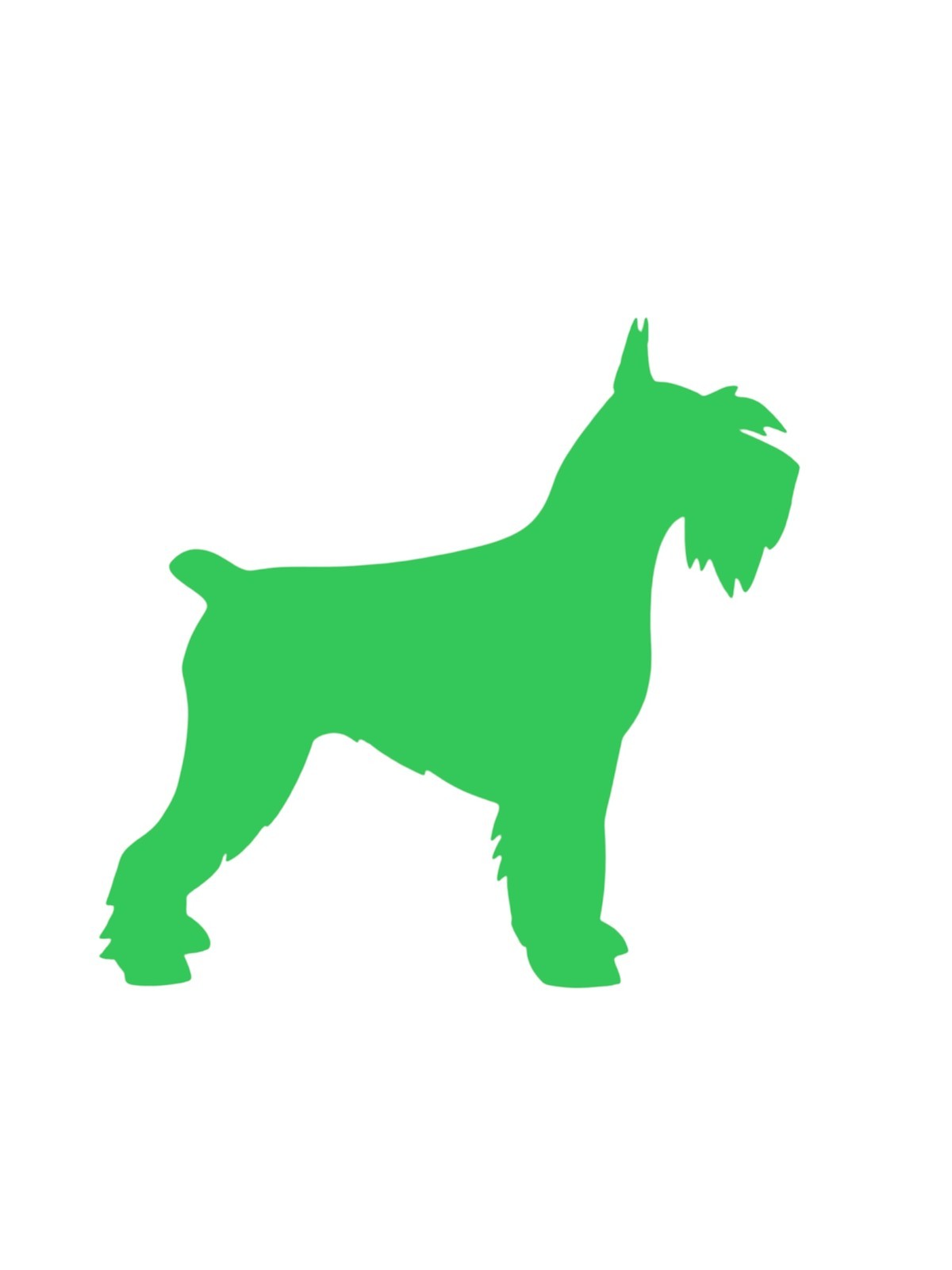 Schnauzer dog Decal for car Windows Laptops most Smooth Surfaces