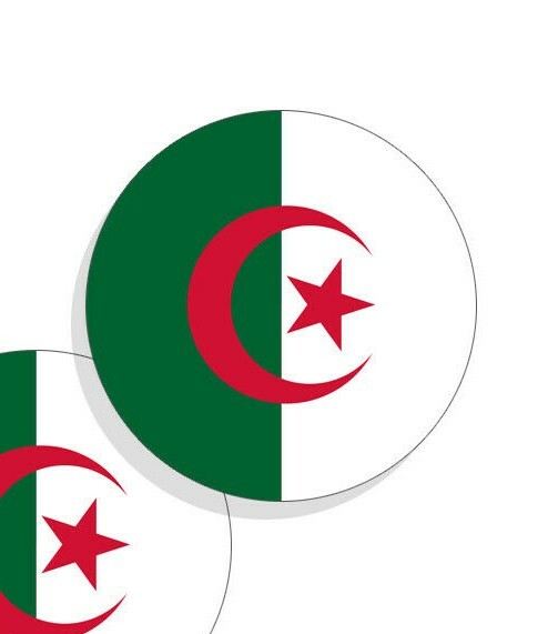 Algeria Flag Stickers Flag Decals Vinyl Indoor Outdoor Stickers Round Set of 4