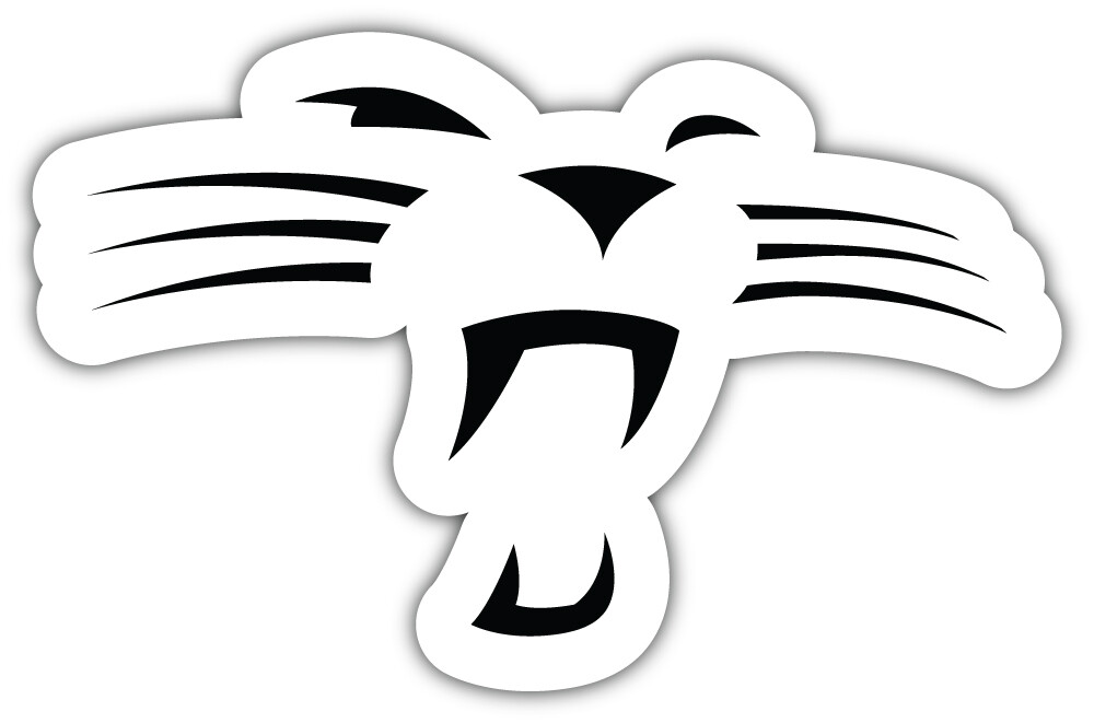 Carolina Panthers Silhouette NFL Sport Car Bumper Sticker Decal "SIZES"