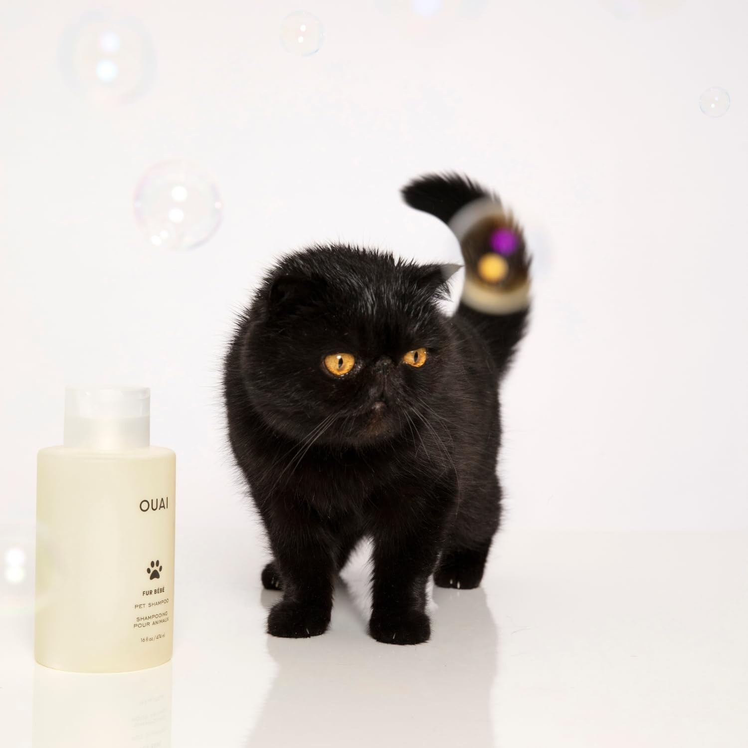 OUAI Fur Bébé Pet Shampoo – Cat & Dog for Gentle 16 Fl Oz (Pack of 1)