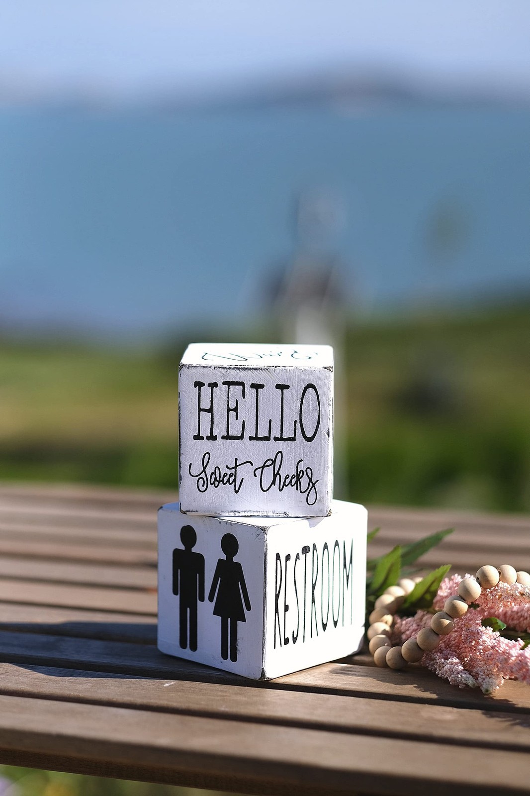 Lavender Inspired Set of 2 Farmhouse Bathroom Signs – Hello Sweet Cheeks – Ha…
