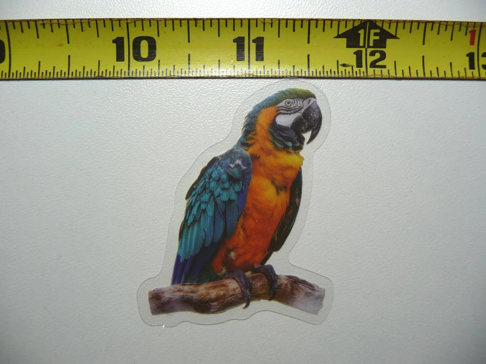 MACAW PARROT PET SMALL STICKER DECAL WILDLIFE COLORFUL ZOO FUNNY