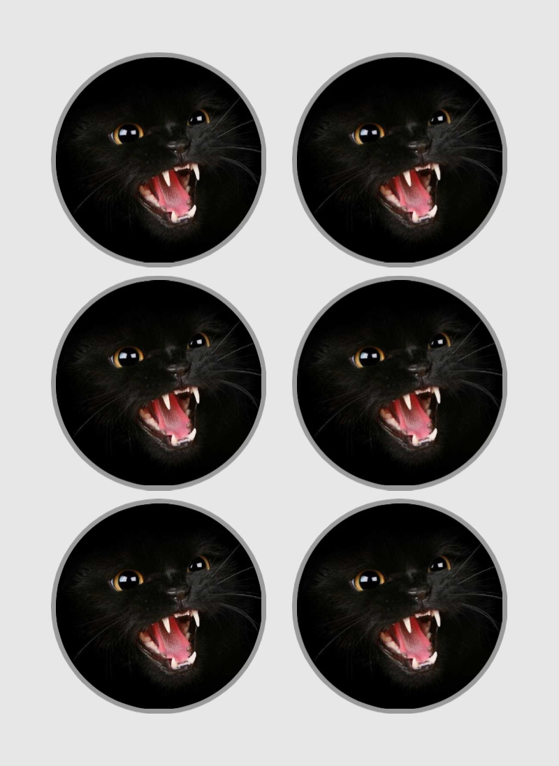Angry Basement Cat – Vinyl Waterproof Stickers 3"