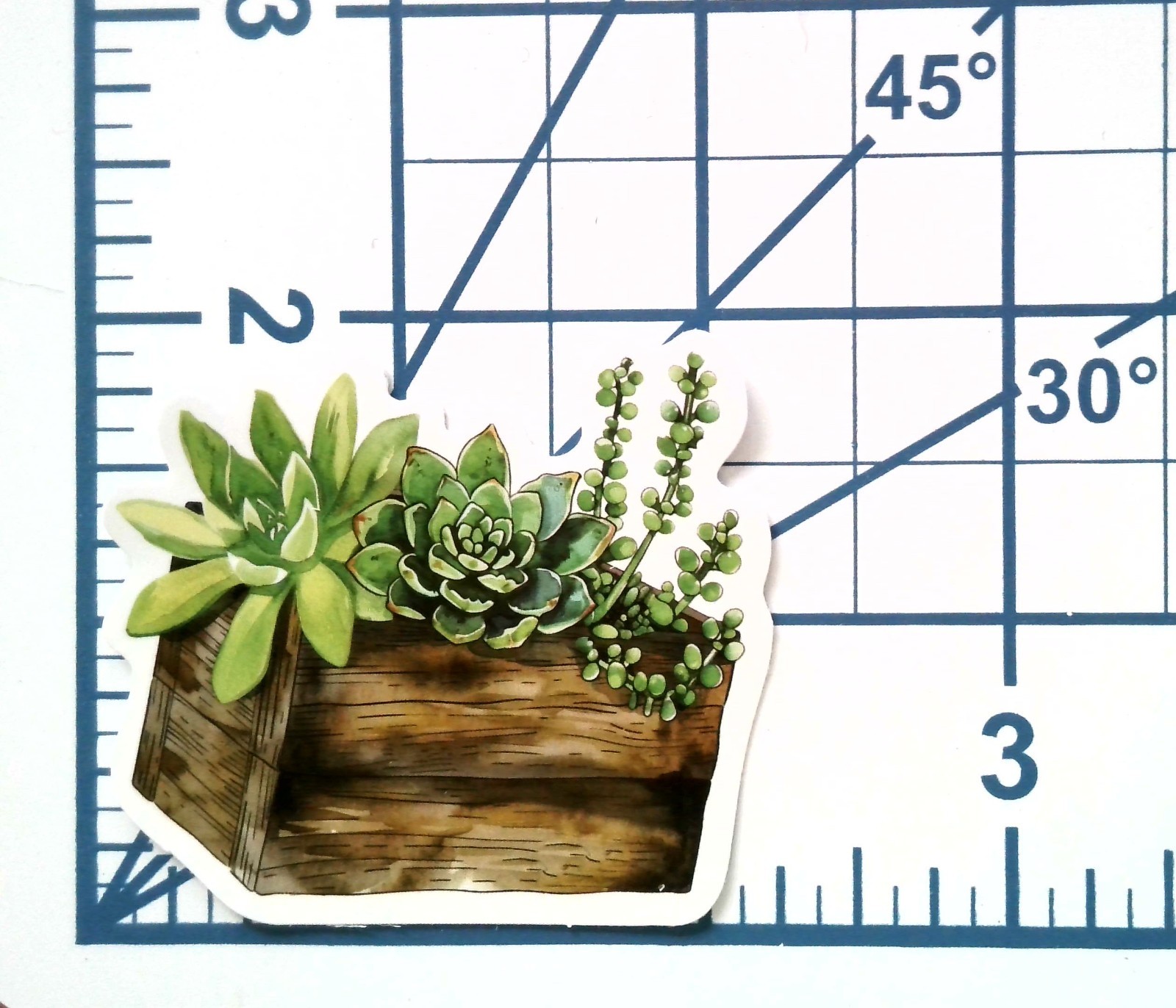 Vinyl Sticker Die Cut Succulent Mix Decal Wooden Box Planter Journal Scrapbook