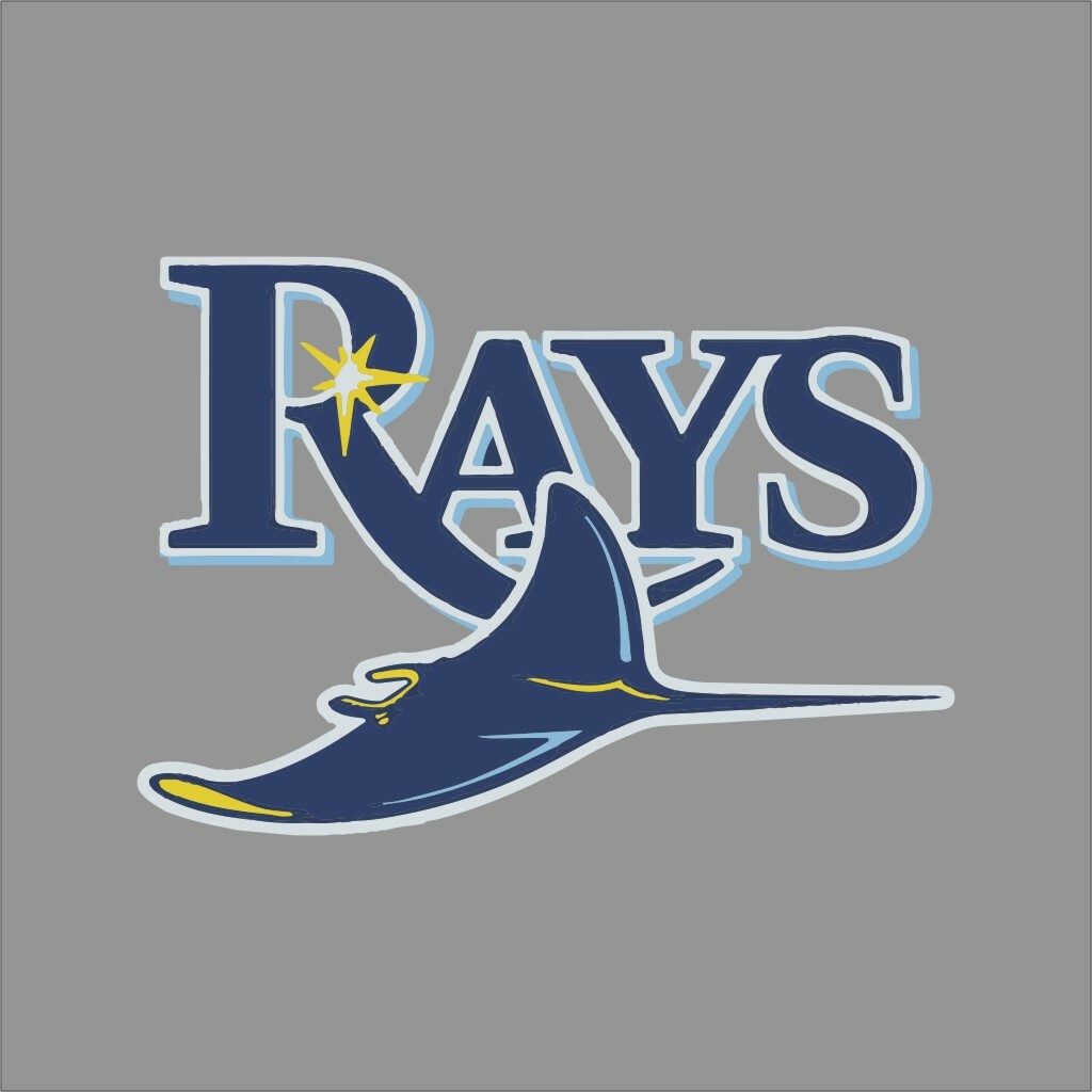 Tampa Bay Rays #17 MLB Team Pro Sports Vinyl Sticker Decal Car Window Wall