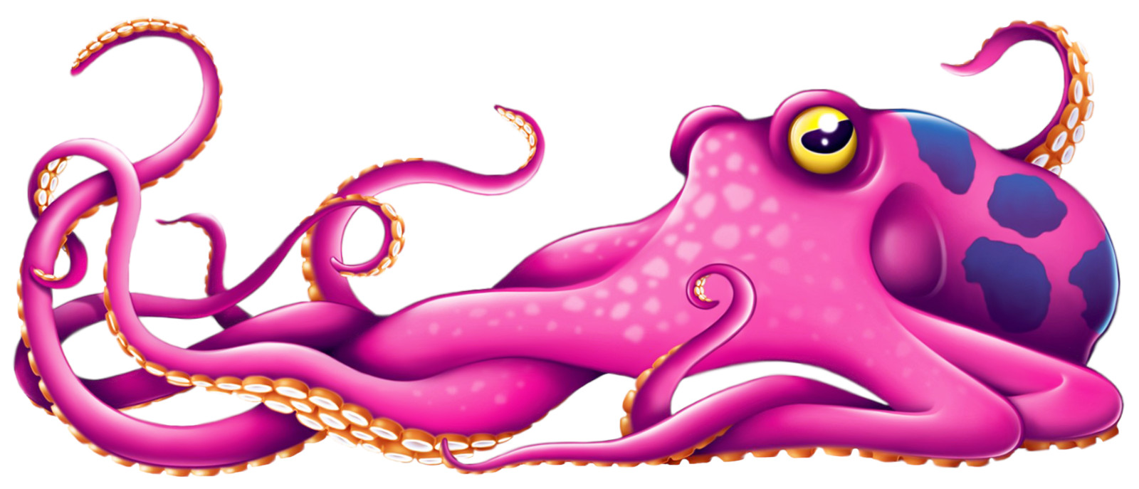 Octopus sticker weatherproof bumper vinyl decal
