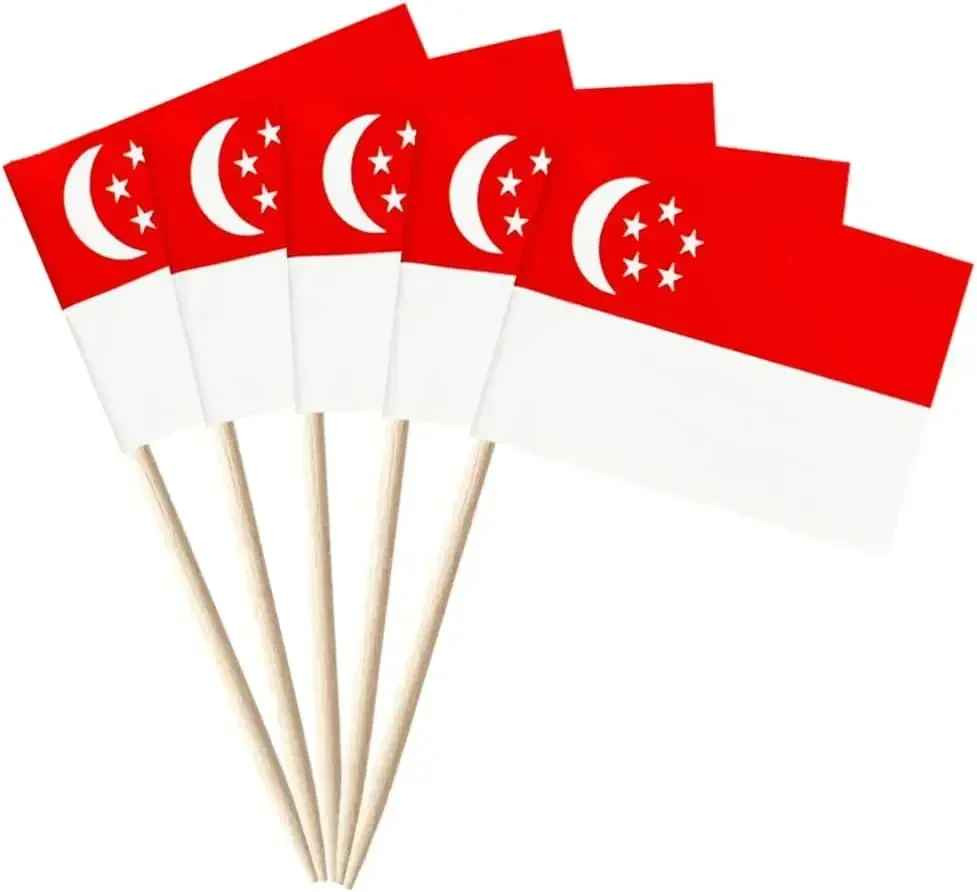 100Pcs Small American Flags Cupcake Toppers Double-sided All Country Stick Flags