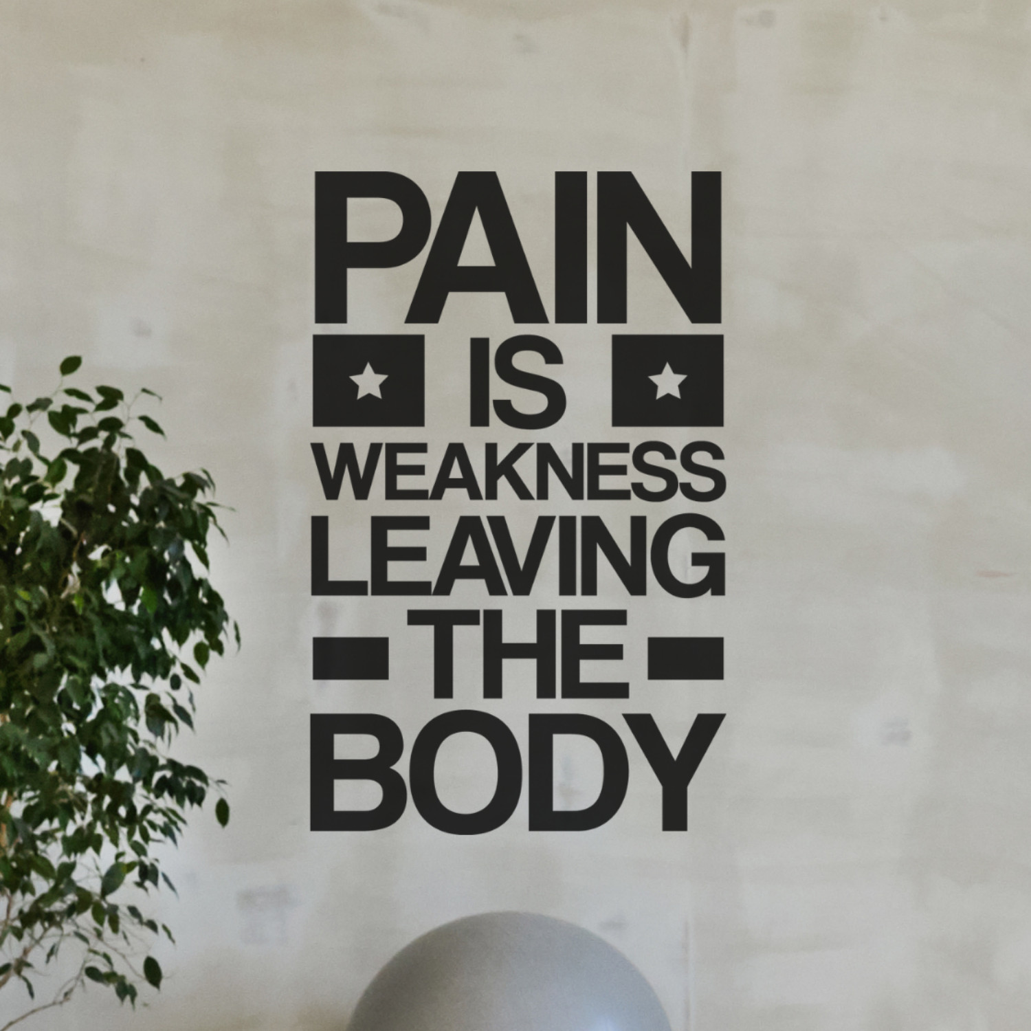 Motivational Wall Decal Quote – Pain Is Weakness Leaving the Body – Gym & Fitnes