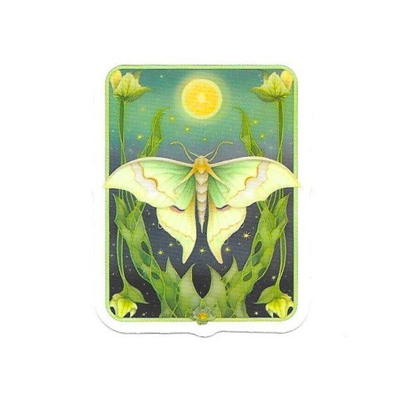 Tarot Style Luna Moon Moth Vinyl Sticker Vintage Celestial Insect Journal Laptop