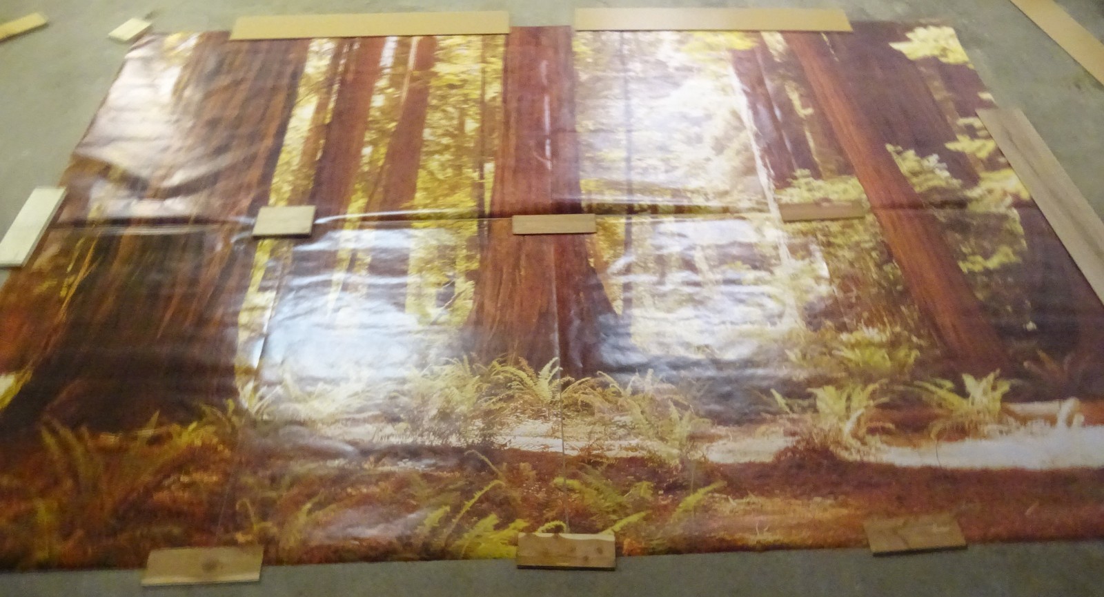 Full Wall Photo Mural Josef Muench Forest Woodland Trees Sun 8’ 8” x 12’ 6” NOS