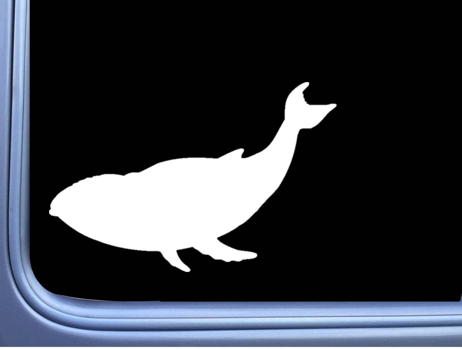 Whale Plain L812 8 inch Sticker marine life humpback moby Decal