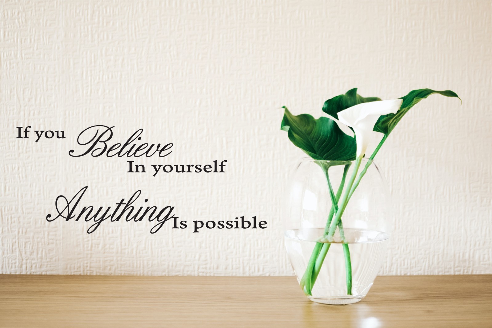 If You Believe in Yourself Anything is Possible Removable Wall Quotes Arts decal