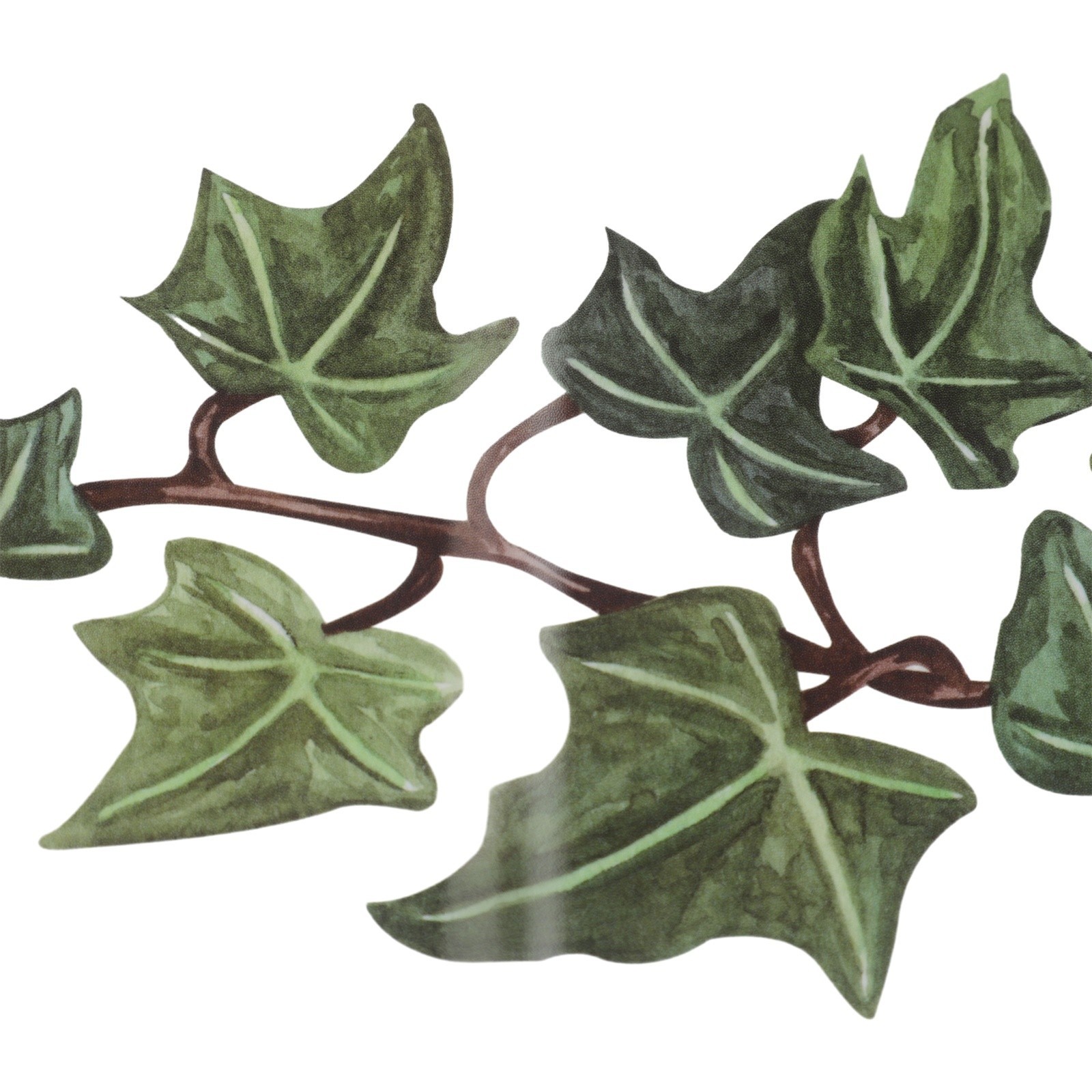 Green Vine Leaves Stickers Living Room DIY Wall Stickers Decal Mural Decoration