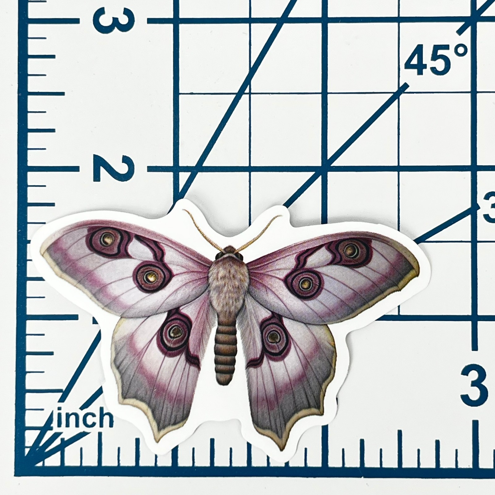 Pastel Pink Silk Moth Vinyl Sticker Vintage Imperial Rose Insect Journal Laptop