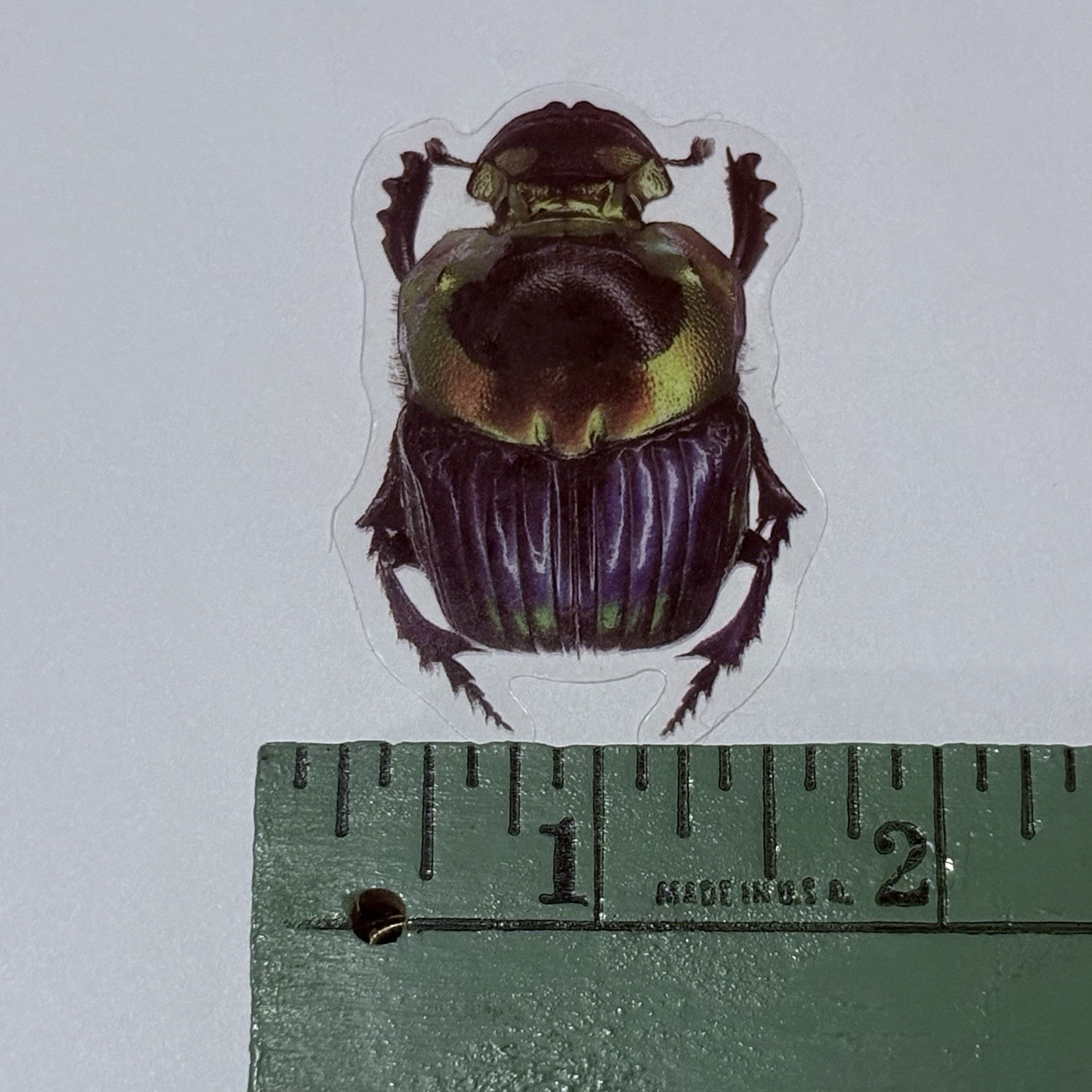 Sulcophanaeus Imperator Dung Beetle Sticker Insect Bug Decal Transparent Art Tc9