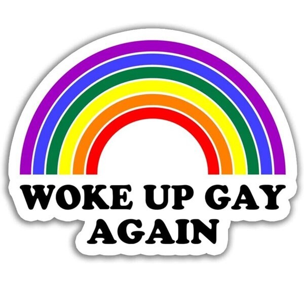 Funny LGBTQ Stickers woke up gay again