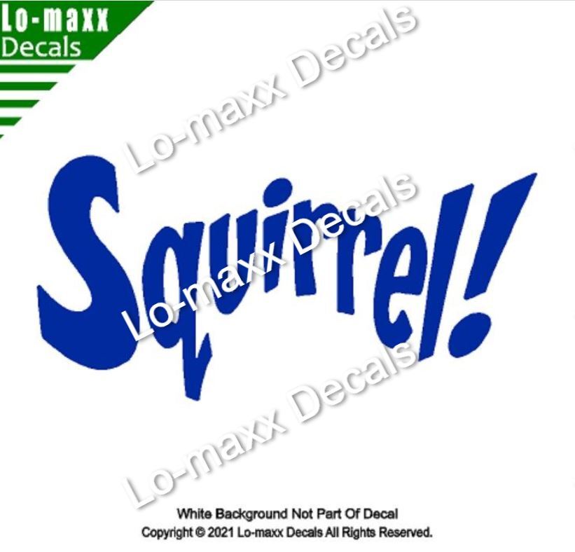 Squirrel! Funny Cute Original Custom Art High Performance Die Cut Vinyl Decal
