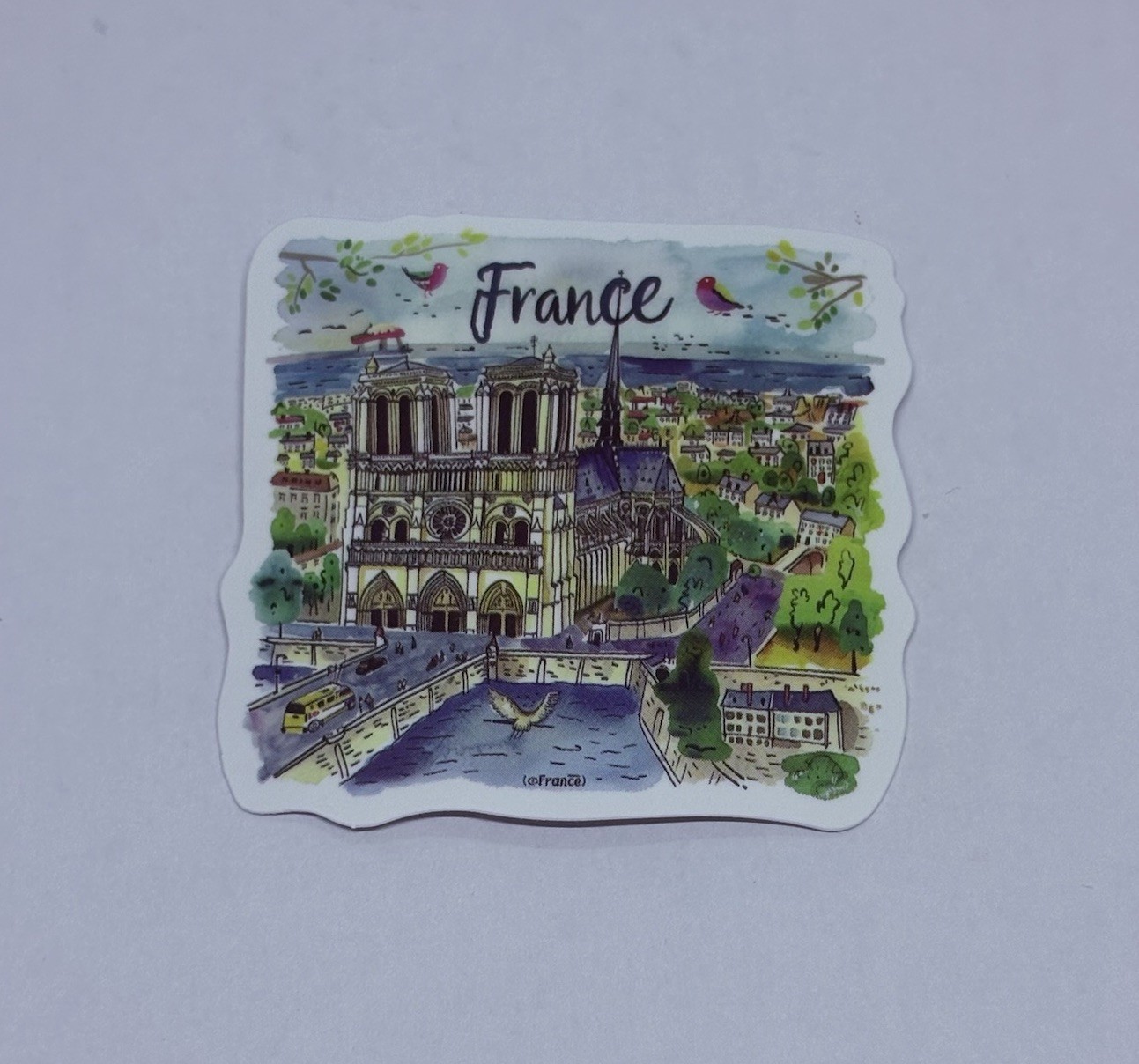 France Sticker Notre Dame Cathedral Travel City Tour Art Decal Souvenir Tc9