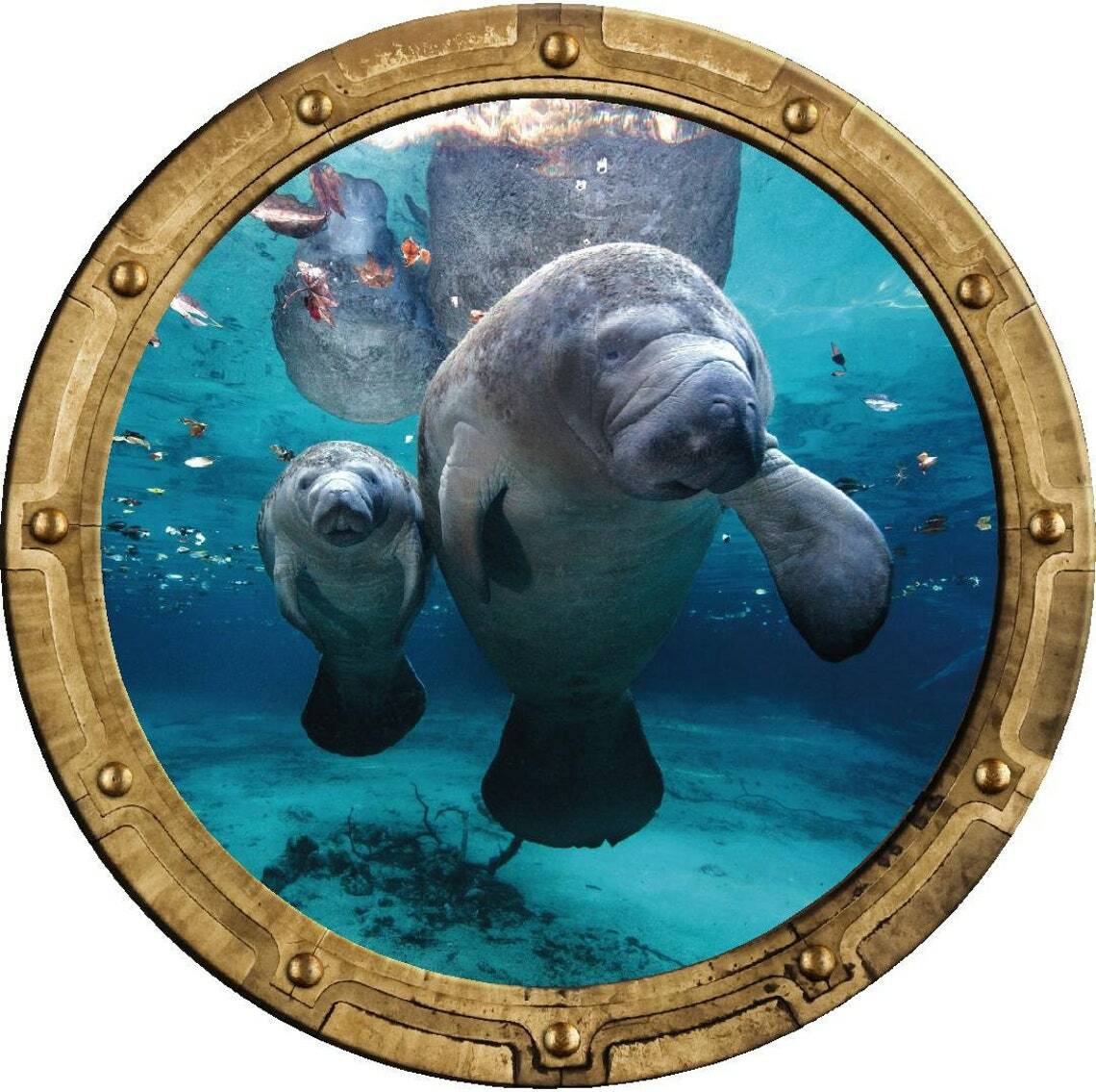 PortScape MANATEE & CUB Sea Porthole 3D Window Wall Decal Vinyl Wall Sticker