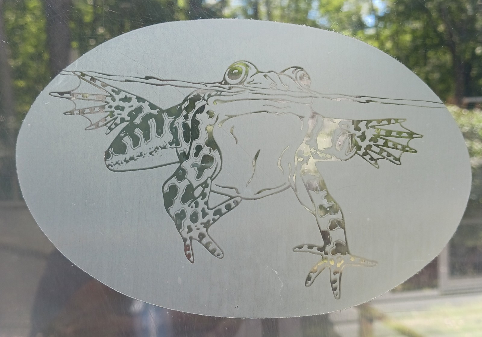 SWIMMING FROG Decal 4"x6" OVAL Etched Glass Look Cling Removable & Reusable 44