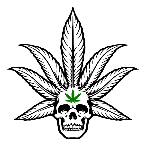 Weed Smoking Pot Leaf Skull Vinyl Decal Marijuana Sticker 420 Smoke Cannabis