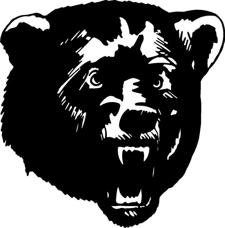 Bear Head Vinyl Decal Home Décor 12" x 12"