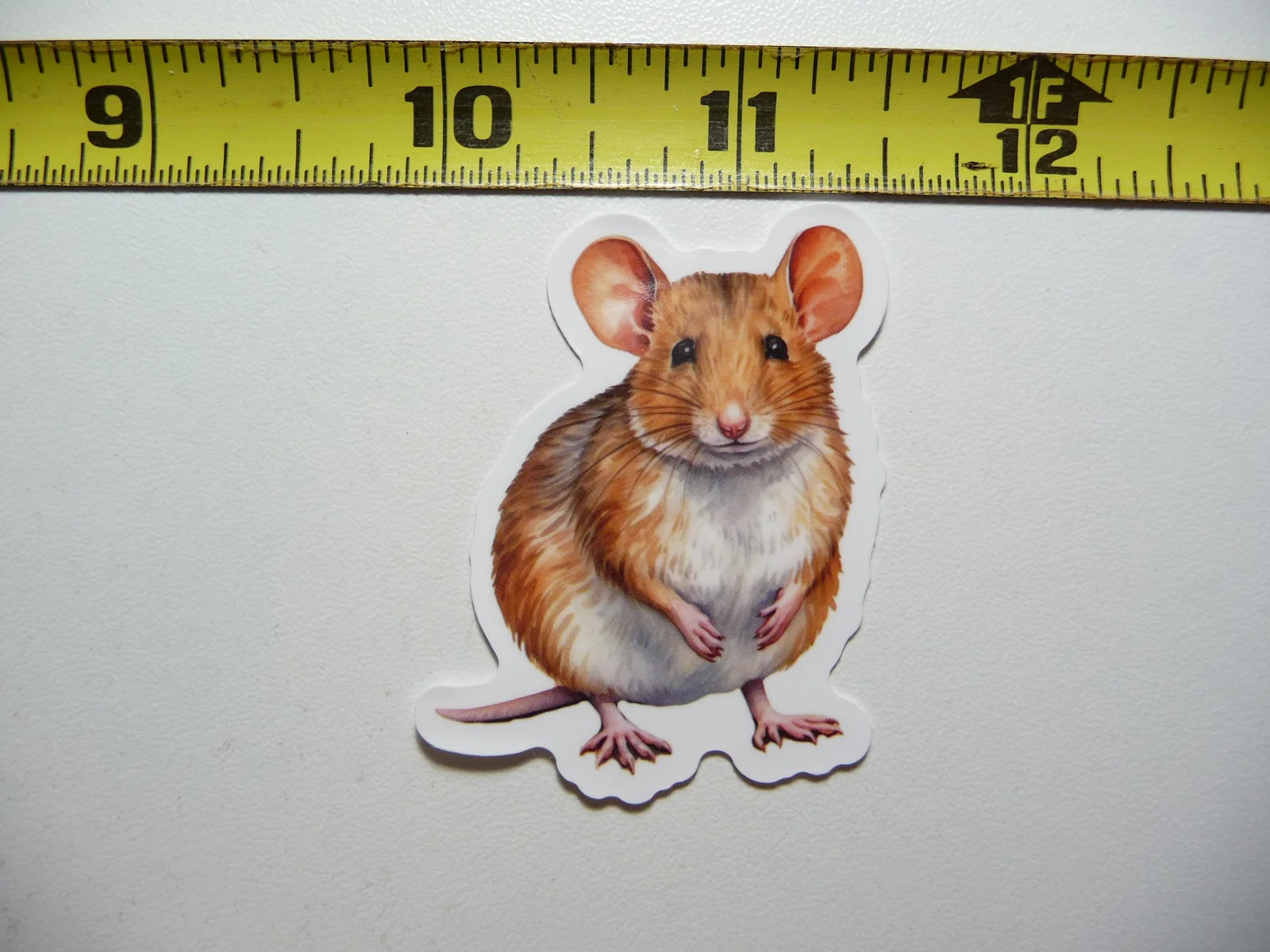 HOUSE MOUSE RODENT SMALL STICKER DECAL WILDLIFE PRESERVE NATURE ANIMAL