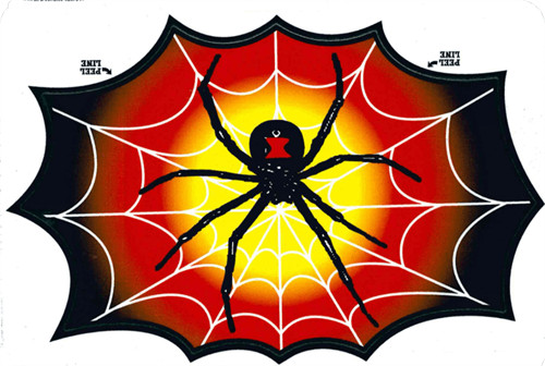 Spider In Web – 3" X 5" – Sticker