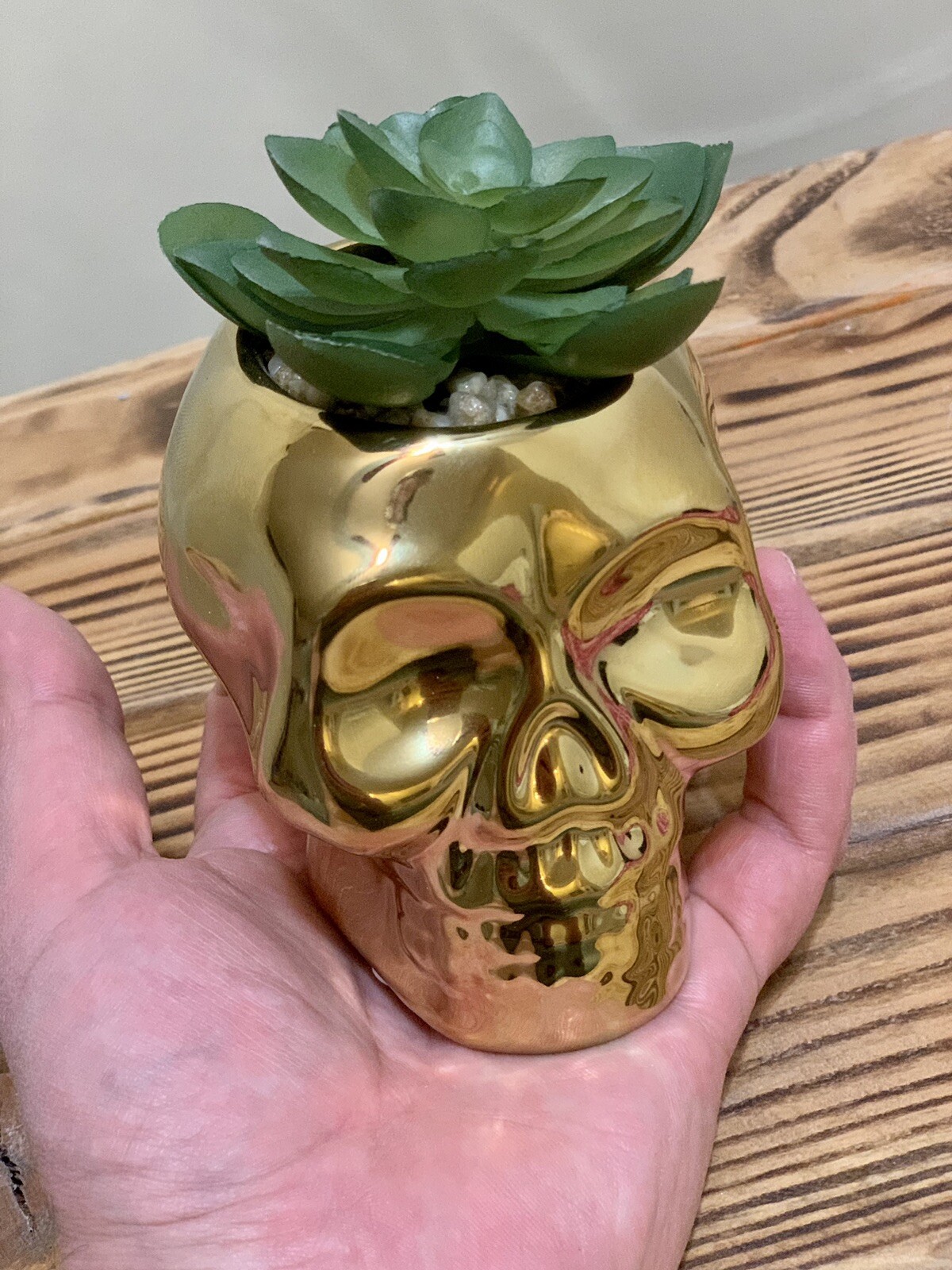 4.5×4.5 in gold skull with flower, new unused