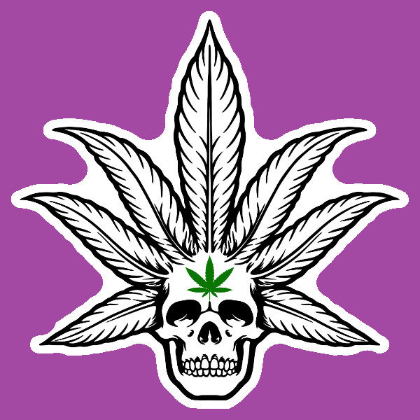 Weed Smoking Pot Leaf Skull Vinyl Decal Marijuana Sticker 420 Smoke Cannabis