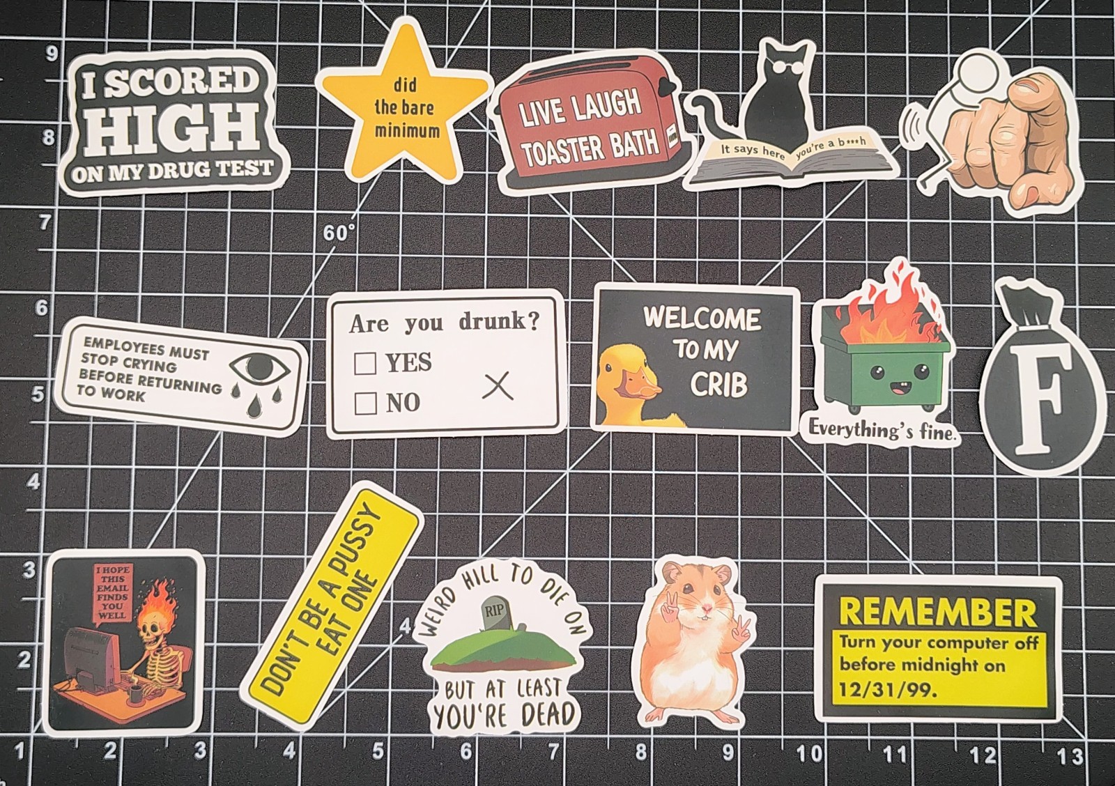 100 Pcs Funny Meme Stickers Pack Vinyl Decals Sarcastic Adult Humor Joke Lot