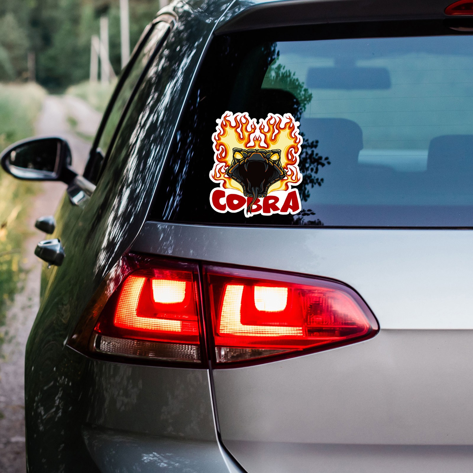 Cobra Snake Flames – Vinyl Decal Sticker – Car Window Laptop – ebn8920
