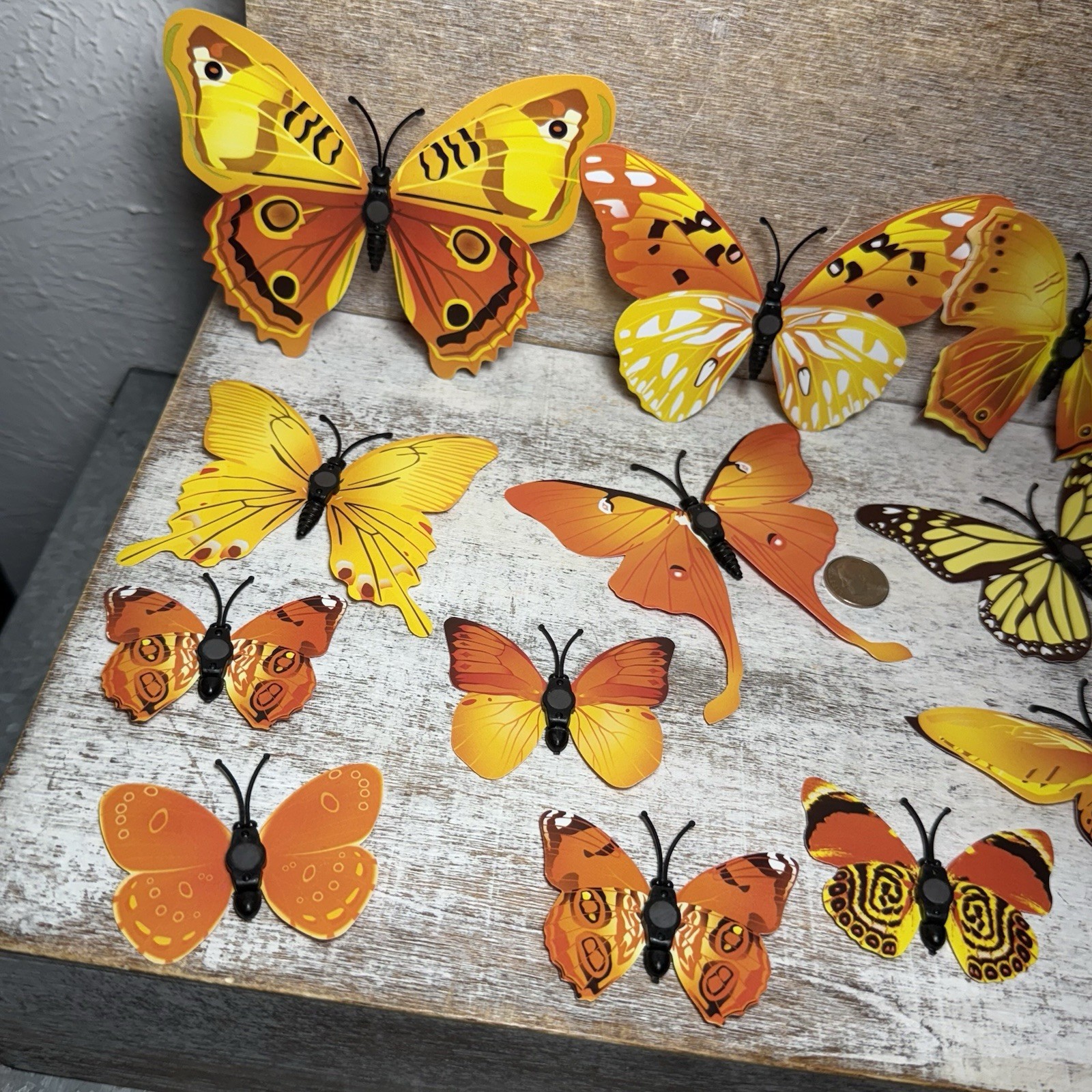 Lot of 12 3D Realistic Butterfly Wall Stickers Different Size, Shapes ORANGE New