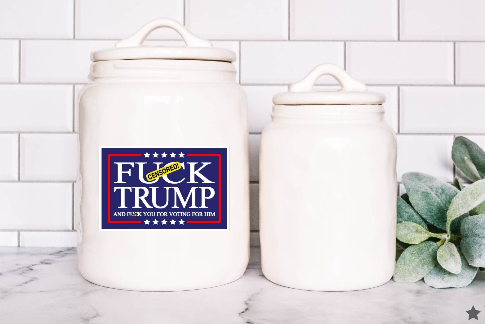 F Trump And You For Voting Decal Sticker Anti MAGA Political Democrat Protest US