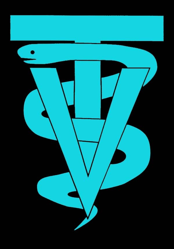 VETERINARY Tech Doctor DVM tech medical decal sticker vet set (2 Decals)