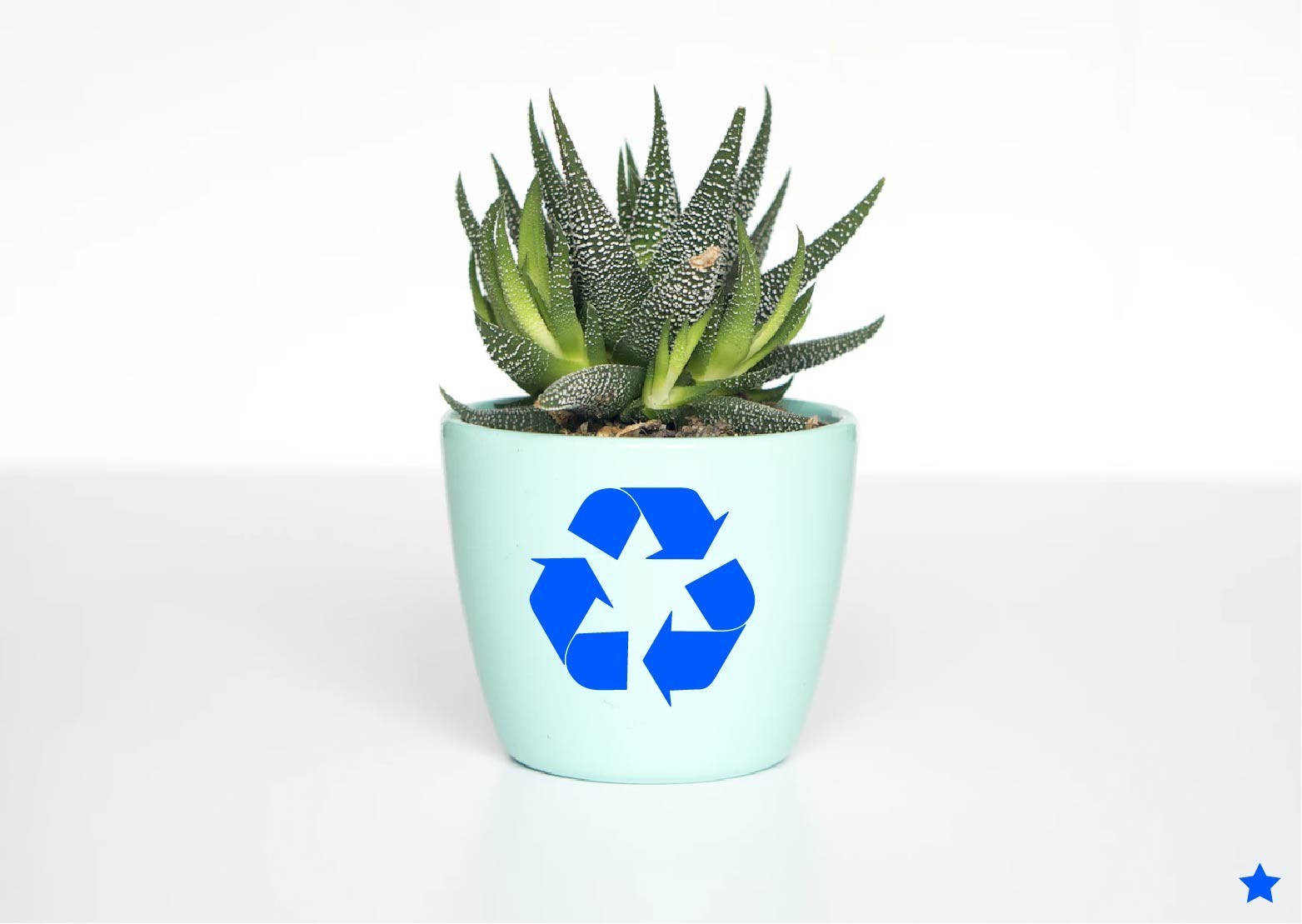 Recycle Symbol Decal Sticker Trash Can Label Think Green Save the Planet Earth