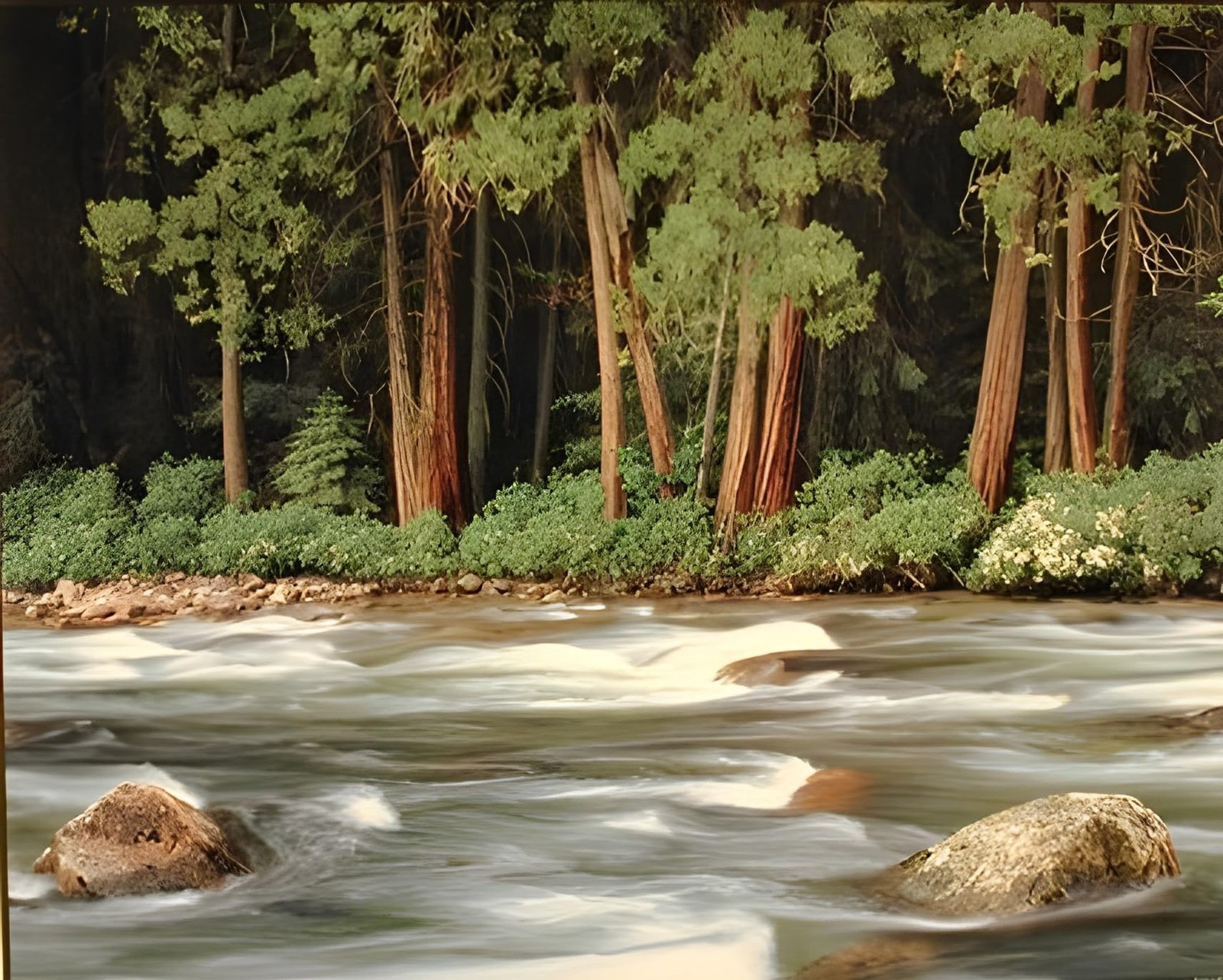 Running River Forest Nature Landscape Scenery Wall Decor Art Print Poster (16…
