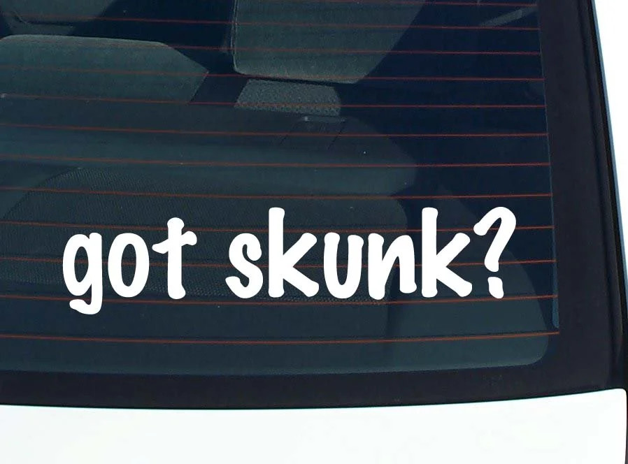 got skunk? CAR DECAL BUMPER STICKER VINYL FUNNY JOKE WINDOW