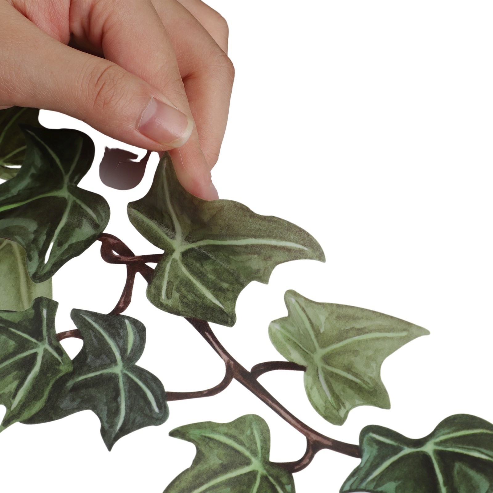 Green Vine Leaves Stickers Living Room DIY Wall Stickers Decal Mural Decoration
