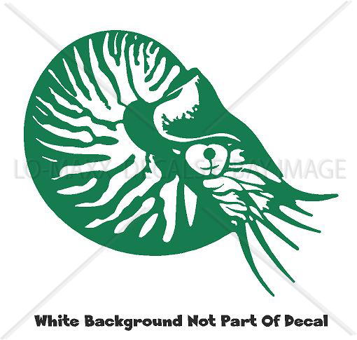 Nautilus Sea Life Contemporary Art Nature Ocean Die Cut Vinyl Decal Sticker