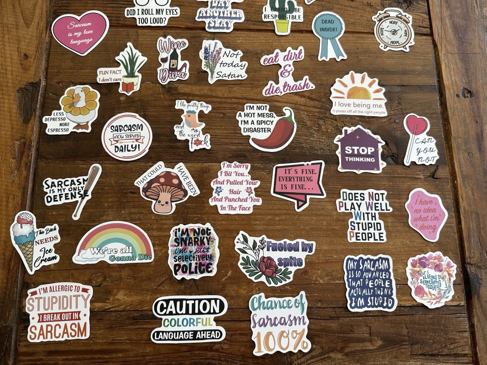 Stickers Pack of 49 Funny Sarcasm Stickers Durable Unique Laptop Bottle Thermos