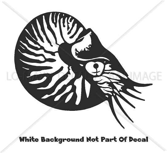 Nautilus Sea Life Contemporary Art Nature Ocean Die Cut Vinyl Decal Sticker