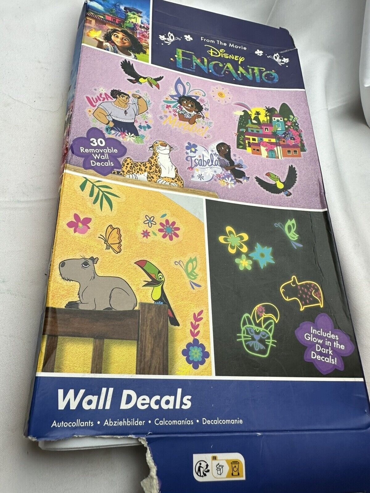 Encanto Peel and Stick Wall Decals, Pink, Blue, Purple Mirabel Isabela