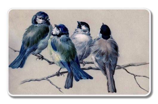 Birds on Branch Vintage Drawing Car Laptop Phone Vinyl Sticker – SELECT SIZE