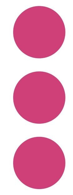 2.5" Hot Pink Round Label Dots Stickers Color Coding Inventory 2.5 Inch Dot