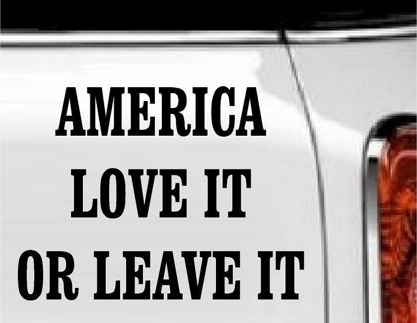 America Love It or Leave It Vinyl Decal Home Décor 6" x 8"