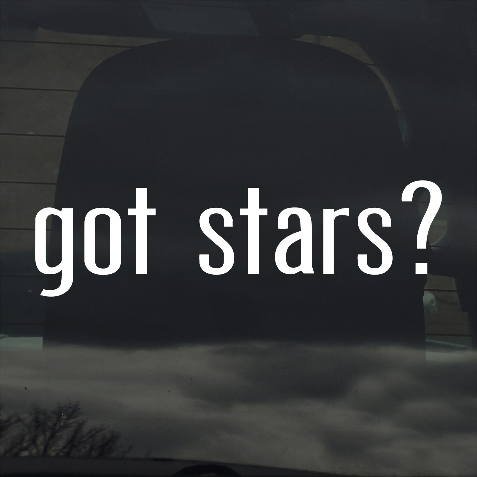 Got Stars? Custom Vinyl Sticker / Decal Astronomy, Space, Night, Sky, Universe